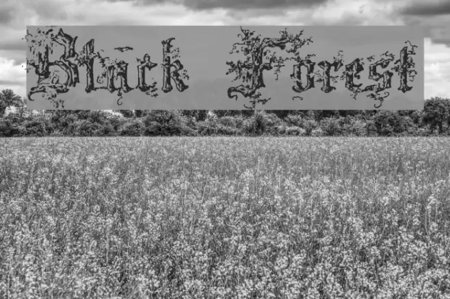 Black Forest Font examples