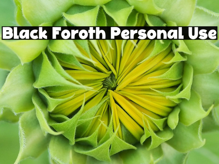 Black Foroth Personal Use Example 1
