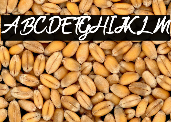 Black Freeday Example 2