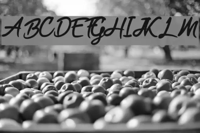 Black Freeday Font examples