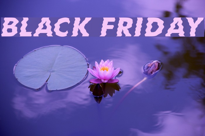 Black Friday Example 1