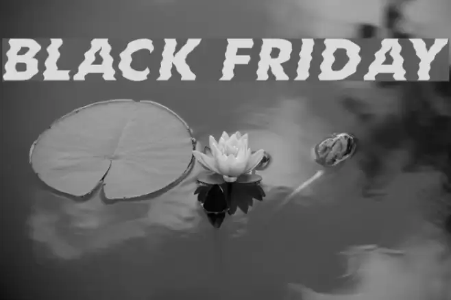 Black Friday Font examples