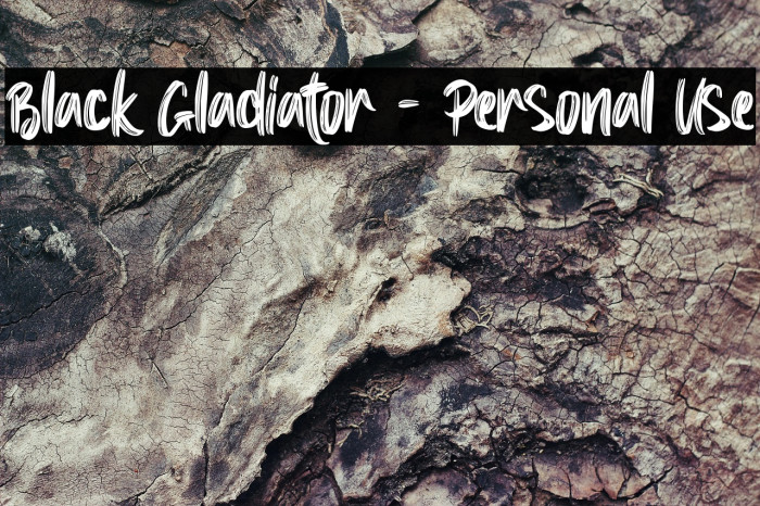 Black Gladiator - Personal Use Example 1