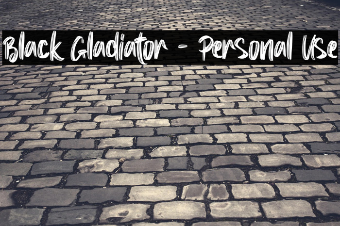 Black Gladiator - Personal Use Example 2