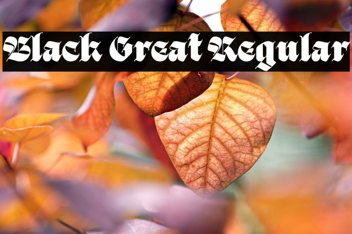 Black Great Regular फ़ॉन्ट examples
