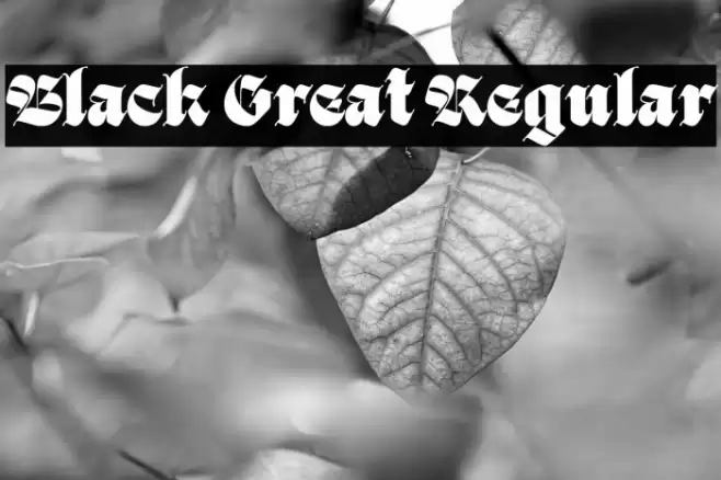 Black Great Regular Font examples