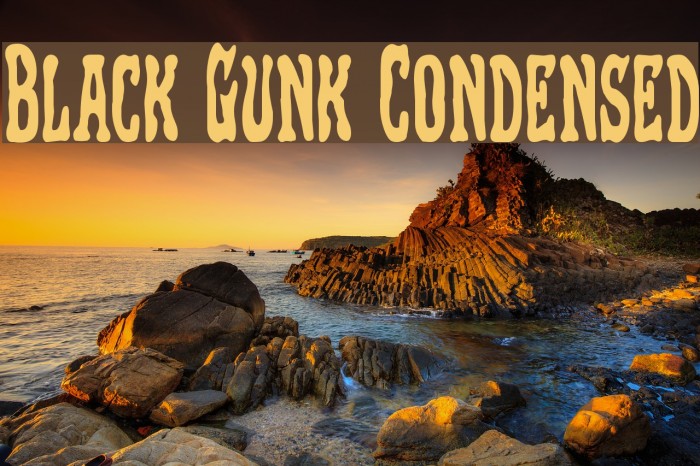 Black Gunk Condensed Polices examples