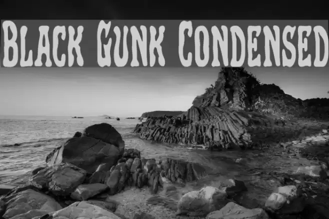 Black Gunk Condensed Polices examples