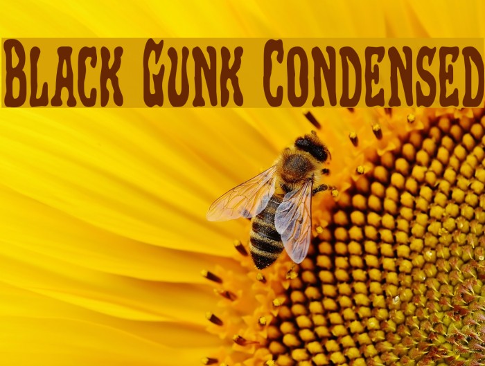Black Gunk Condensed Polices examples