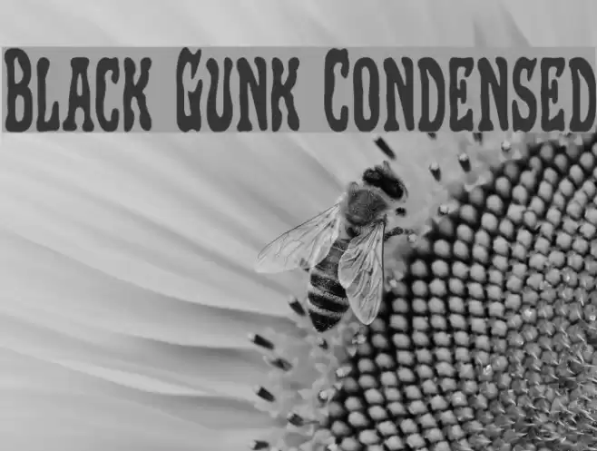 Black Gunk Condensed Polices examples