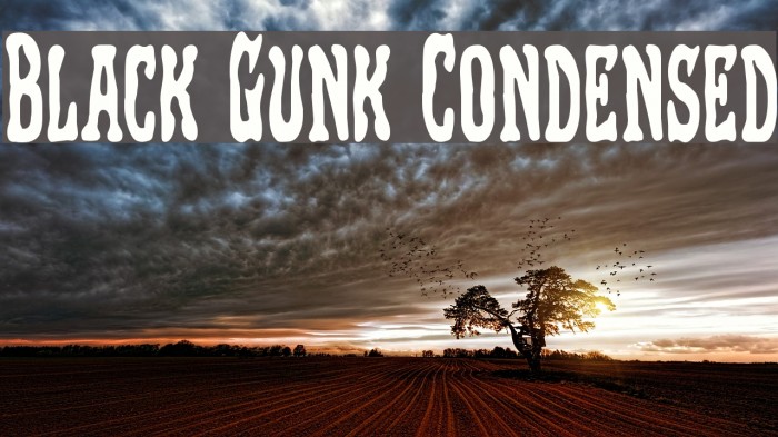Black Gunk Condensed Polices examples