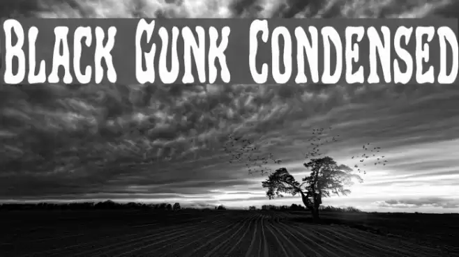 Black Gunk Condensed Polices examples