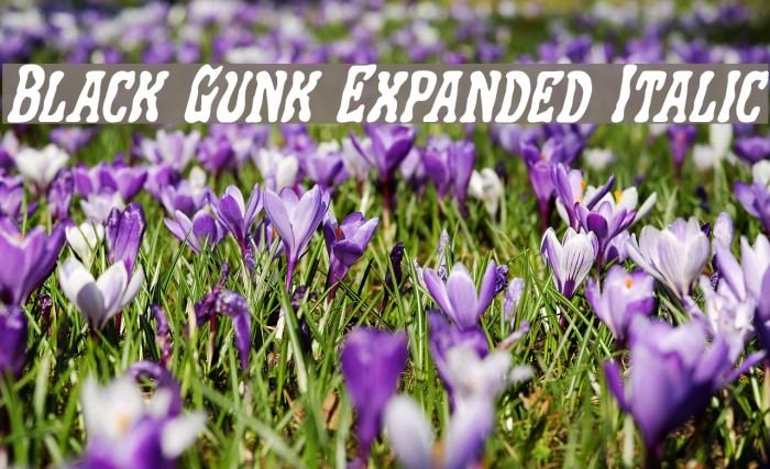 Black Gunk Expanded Italic Font examples