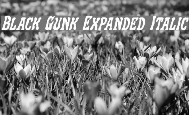 Black Gunk Expanded Italic फ़ॉन्ट examples