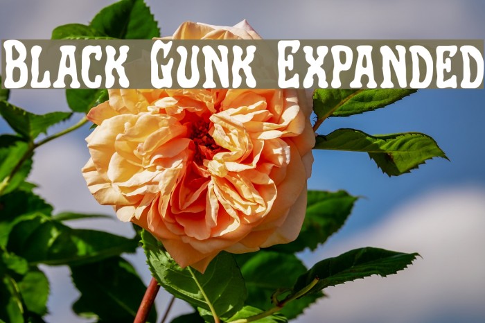 Black Gunk Expanded Font examples