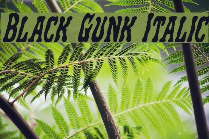 Black Gunk Italic Font examples
