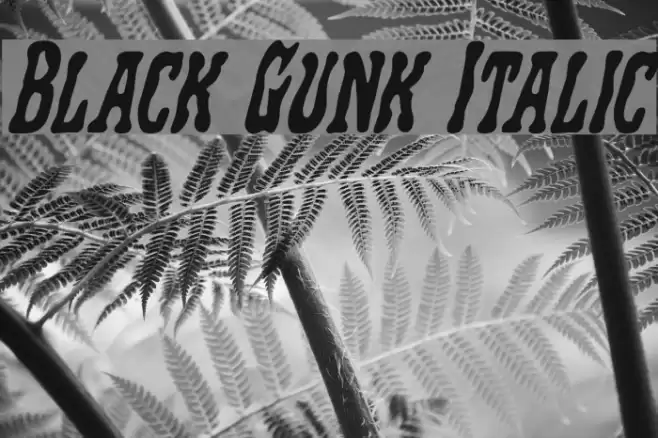 Black Gunk Italic Font examples