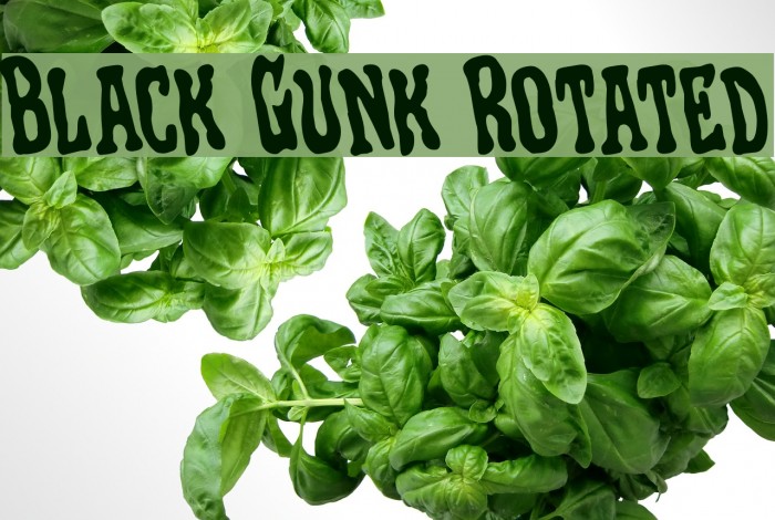 Black Gunk Rotated Font examples