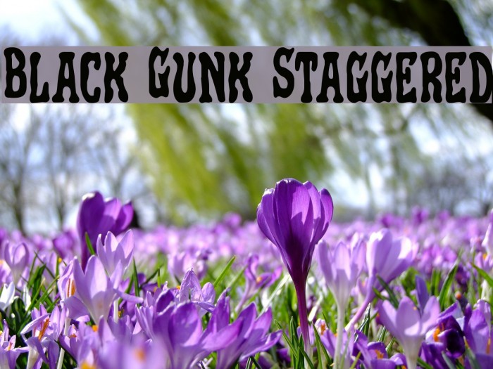 Black Gunk Staggered Caratteri examples