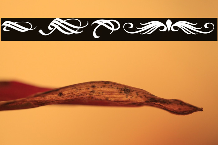 Black Gunslinger Ornament Example 1