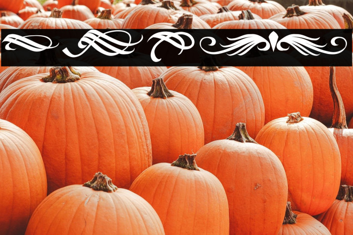 Black Gunslinger Ornament Example 3