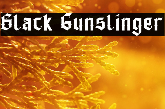 Black Gunslinger Example 2