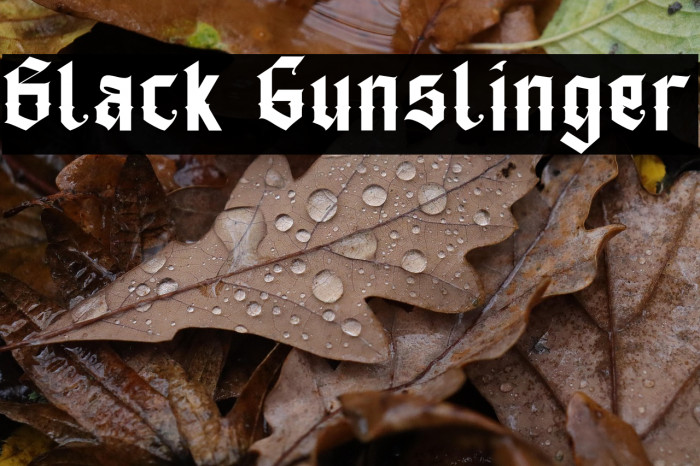 Black Gunslinger Example 3