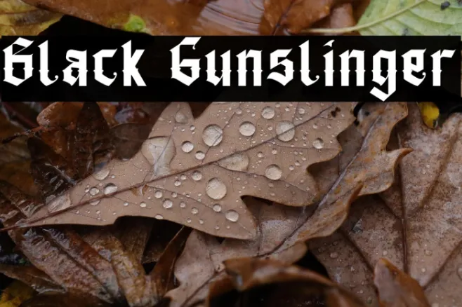 Black Gunslinger Example 3