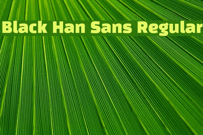 Black Han Sans Regular Font examples