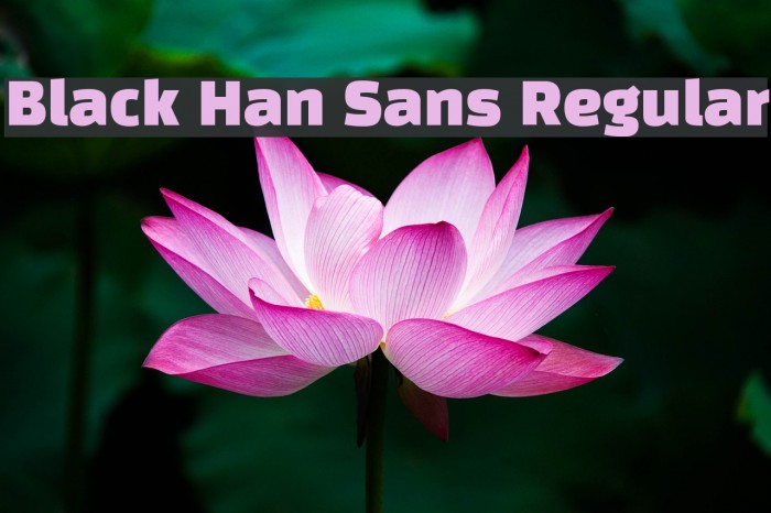 Black Han Sans Regular Font examples