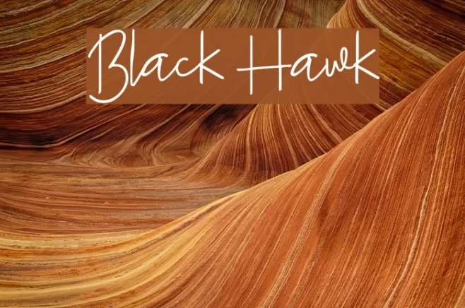 Black Hawk Example 1