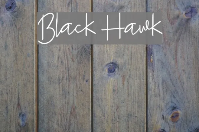 Black Hawk Example 2