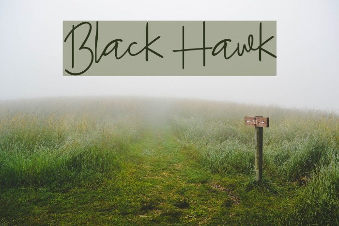 Black Hawk Font examples