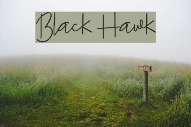 Black Hawk Example 3
