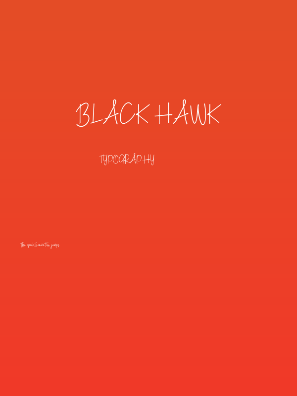 Black Hawk Poster