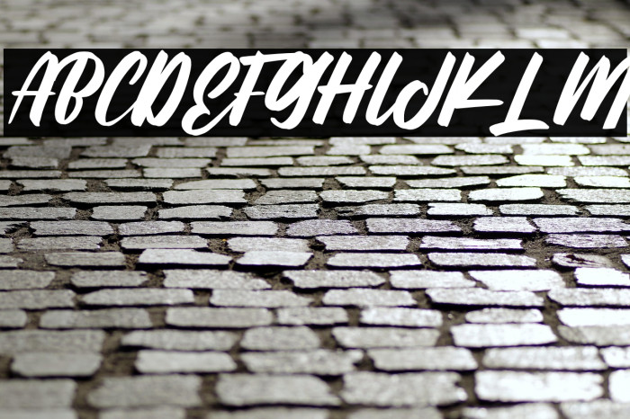 Black History Example 1