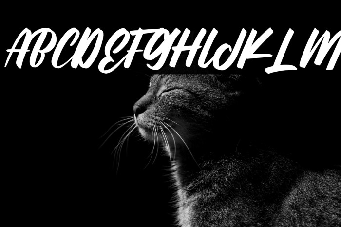 Black History Example 3