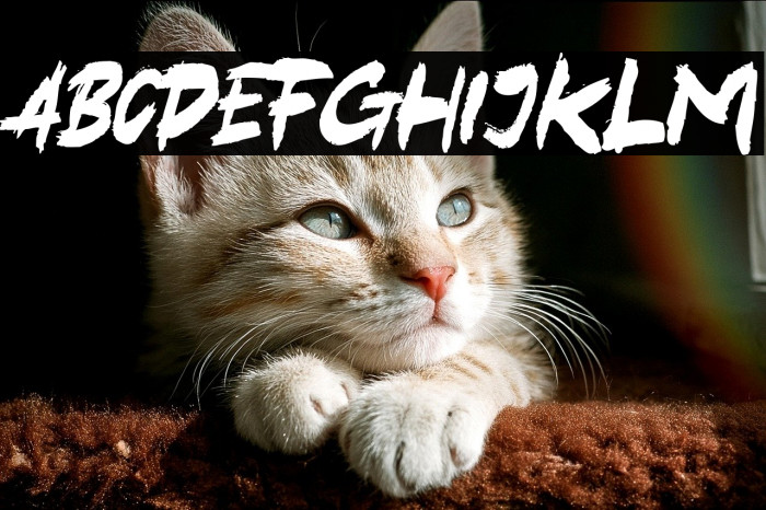 Black Hold Example 1