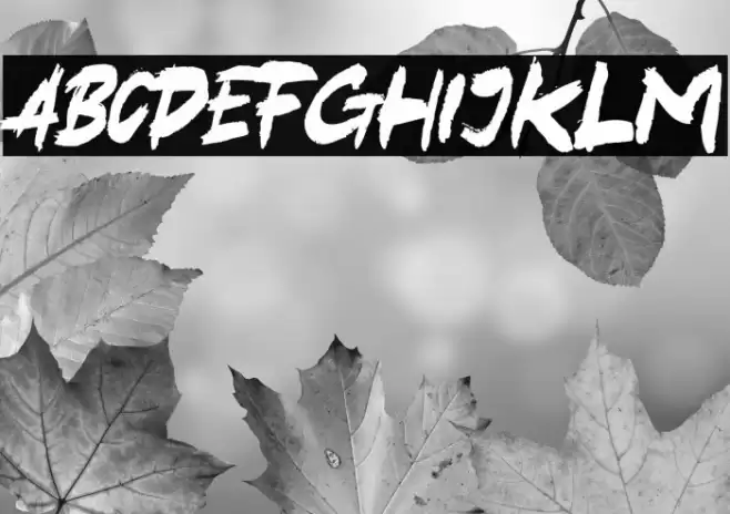 Black Hold Font examples