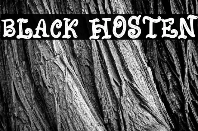 Black Hosten Font examples