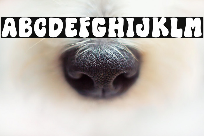 Black Hulk Regular Example 2