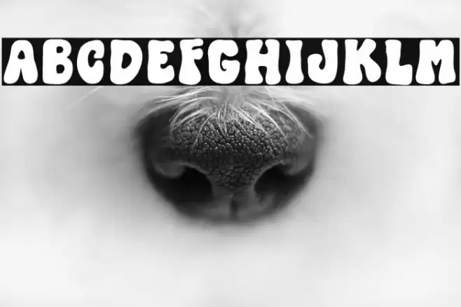 Black Hulk Regular Font examples