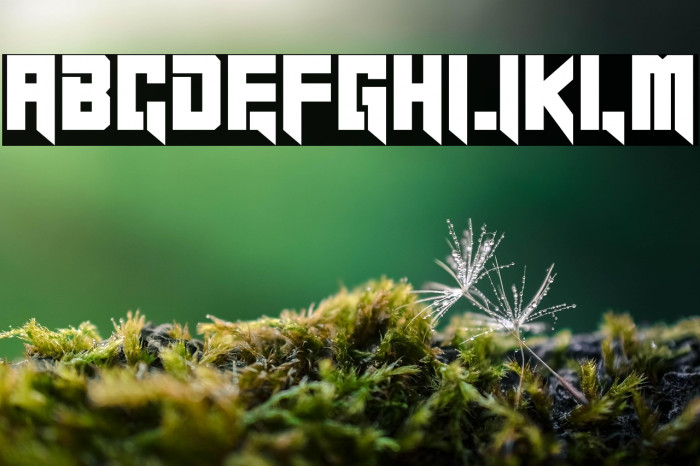 Black Indie Personal Use Example 3