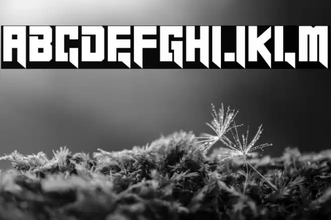 Black Indie Personal Use Font examples