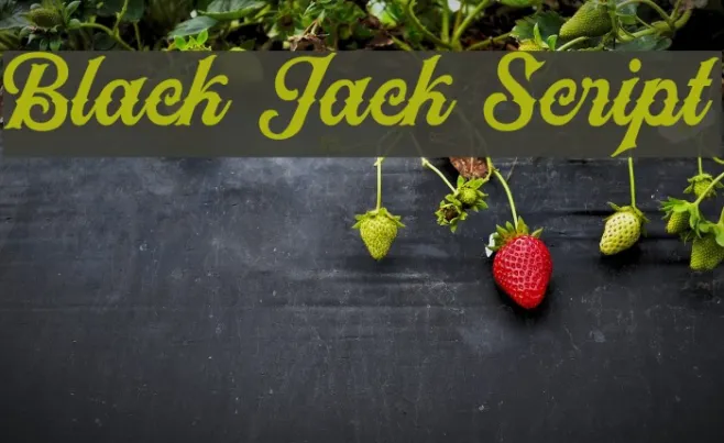 Black Jack Script Example 1