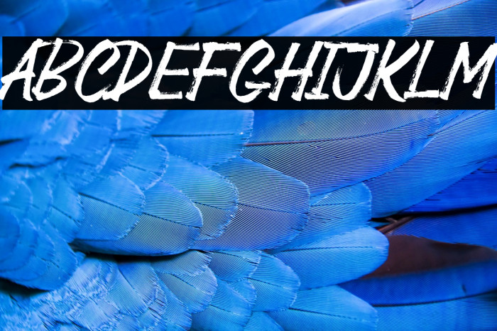 Black Jackal Example 3