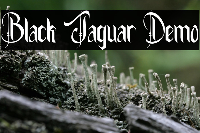 Black Jaguar Demo Example 2