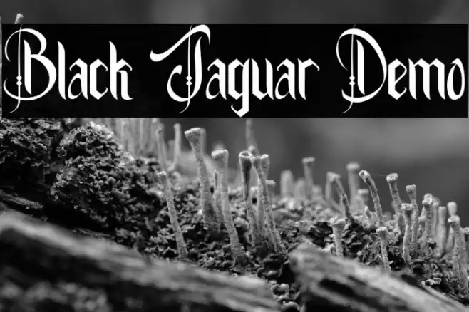 Black Jaguar Demo Font examples