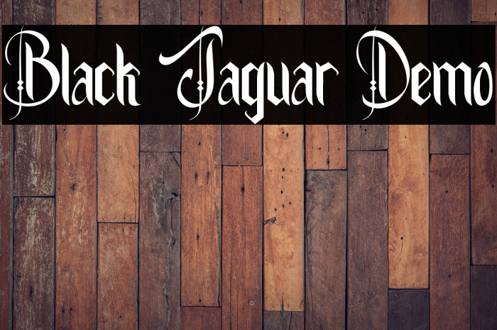 Black Jaguar Demo Example 3