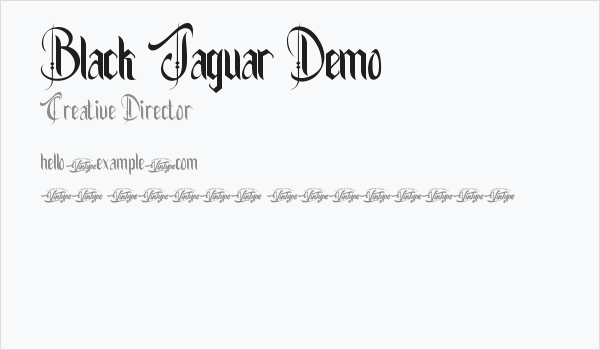 Black Jaguar Demo Business Card